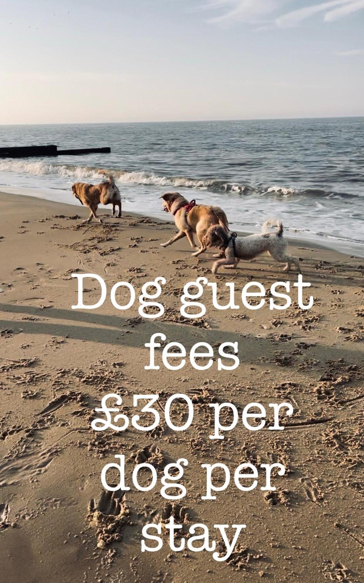Coastal Terrace Dogs Welcome Optional Hot Tub Villa Sea Palling Eksteriør billede
